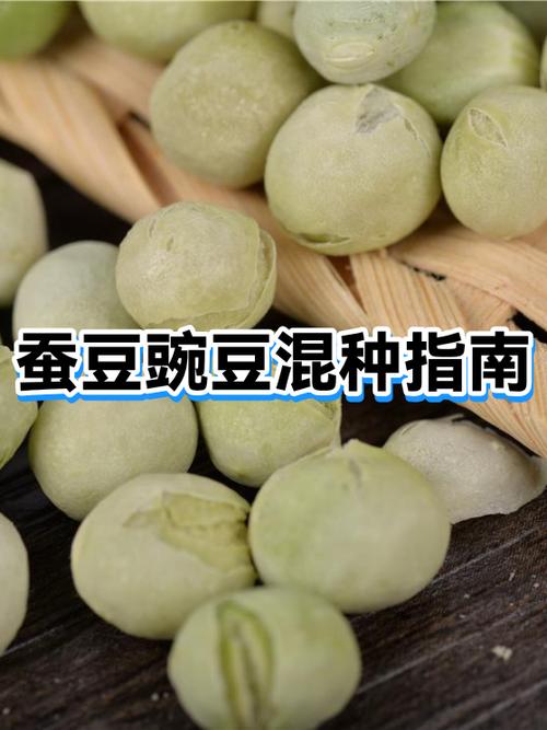 吃蚕豆的好处和坏处