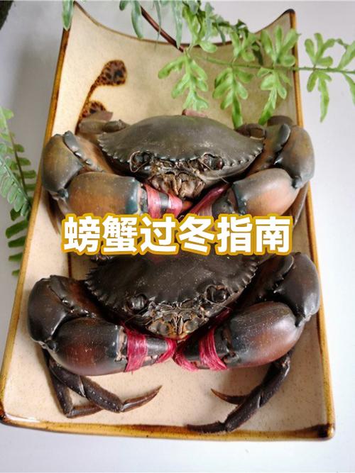 螃蟹冬天在深水还是浅水