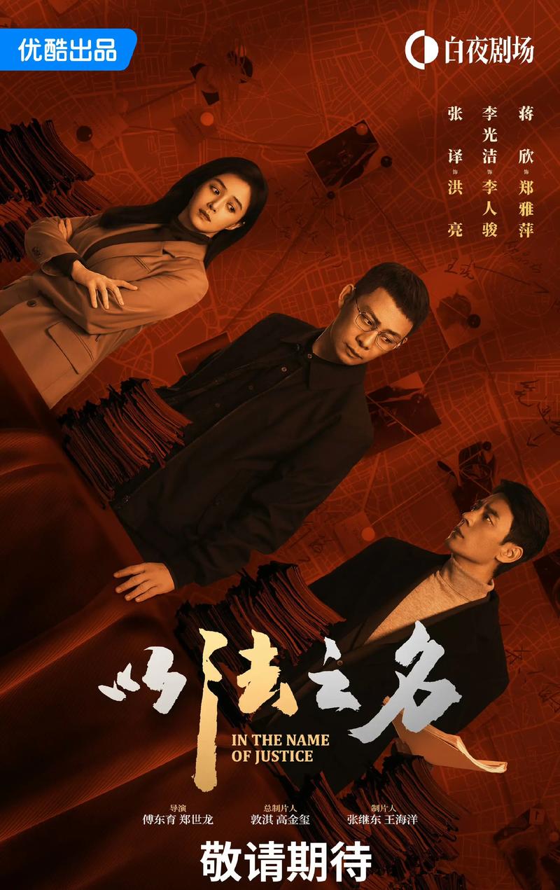 以法之名电视剧免费观看完整版截图