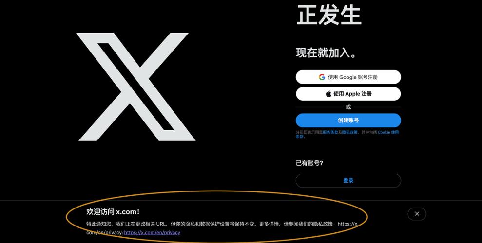 x推特密码重置尝试次数太多