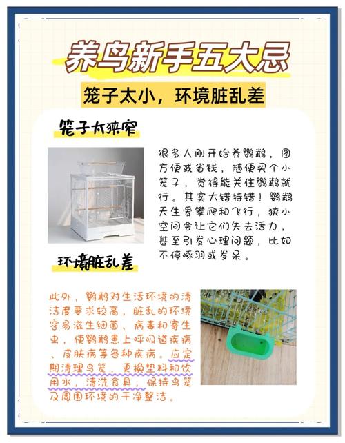 养鸟的十大害处