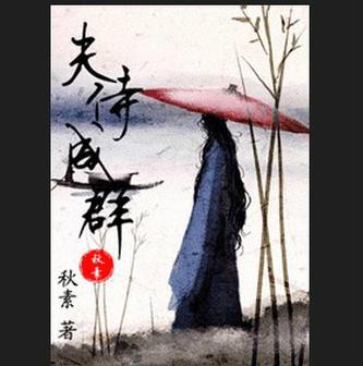 夫侍成群(女尊)作者:清烟飘渺的心