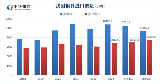 中国粮食需要进口吗