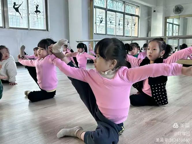 姐妹二级考级舞蹈视频截图