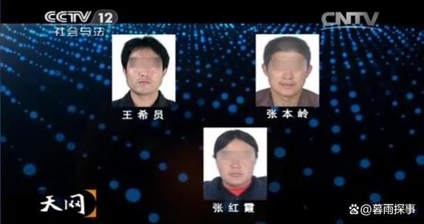 《天网》2011凶杀案全集