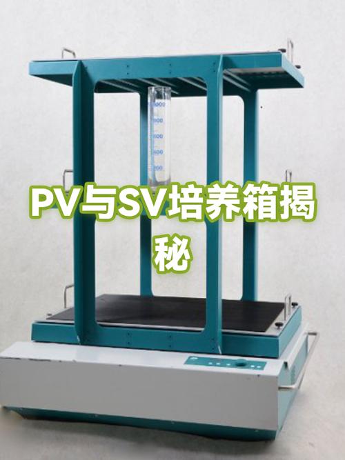 PV与SV