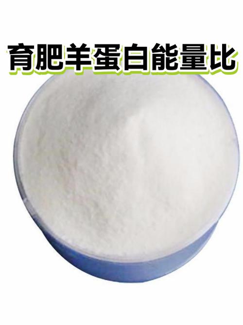 蛋白能量比的计算缩略图