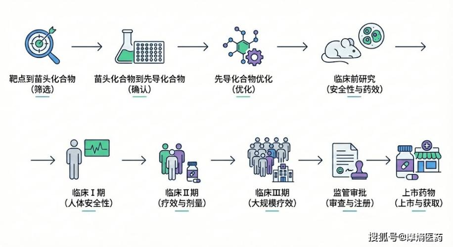 新药研发的四个阶段