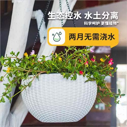 吊兰花用什么肥料图标