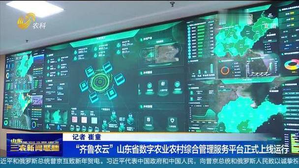 山东省综合服务平台