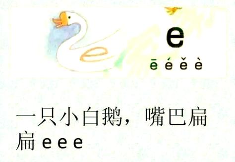 它们的拼音