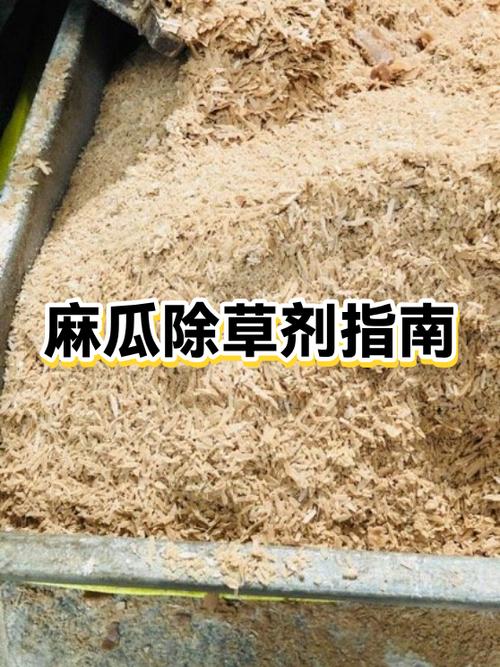 麻瓜是什么意思缩略图