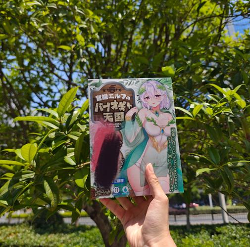 从契约精灵开始