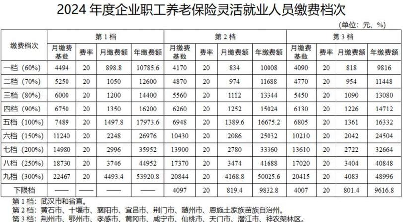 养老保险的档次是什么意思图标