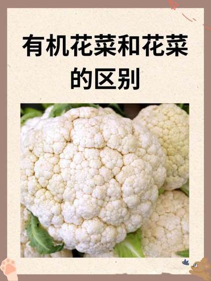 花菜品种