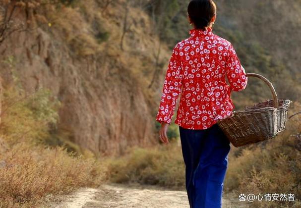 重生知青娶村姑截图