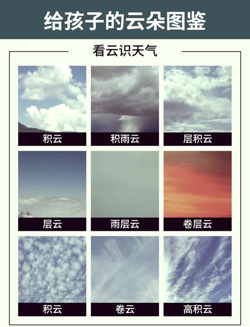 云尊八大统哪八种