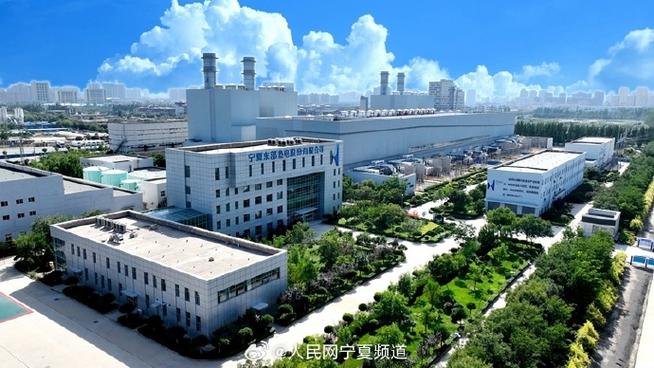 宁夏公共资源平台官网截图