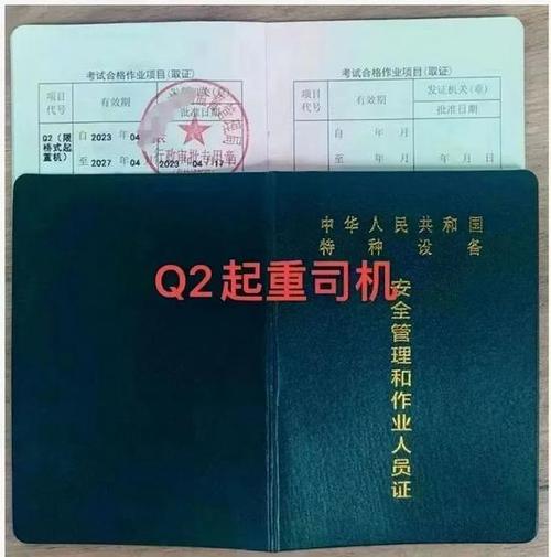 q1是什么意思啊