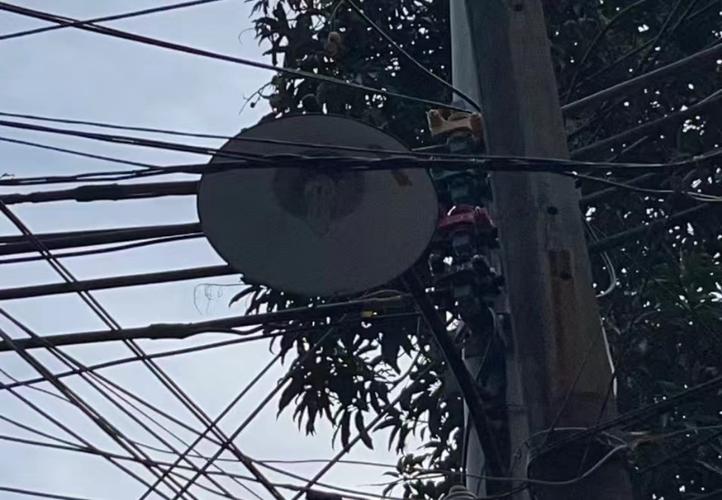 路灯服务热线截图