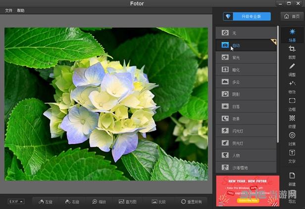 Fotor(免费版)破解版