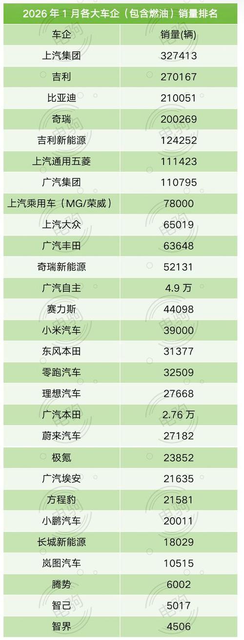 全球新能源汽车销量排行榜