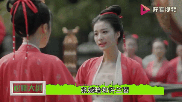 张妼晗和许兰苕的区别截图