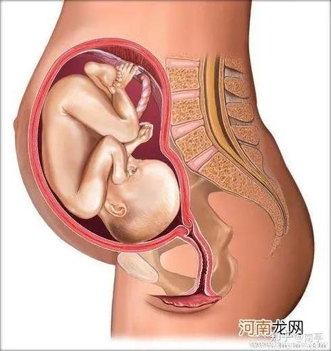 胎儿左心偏小能恢复吗