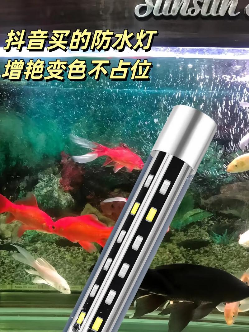 鱼缸里的led灯常开好吗