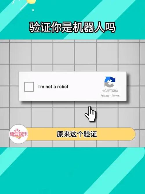 怎么知道自己的验证码是什么