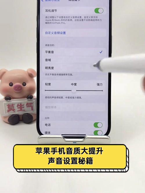 苹果12怎么把声音变得更大