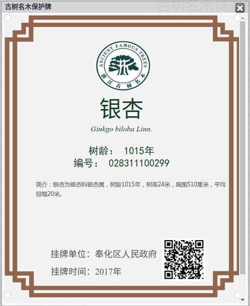 银杏公司简介