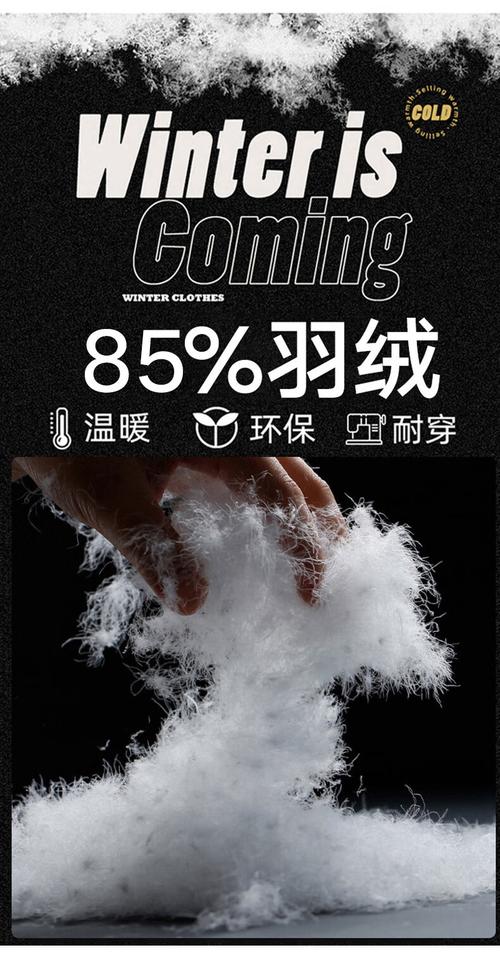 羽绒服顽固污渍怎么洗游戏截图