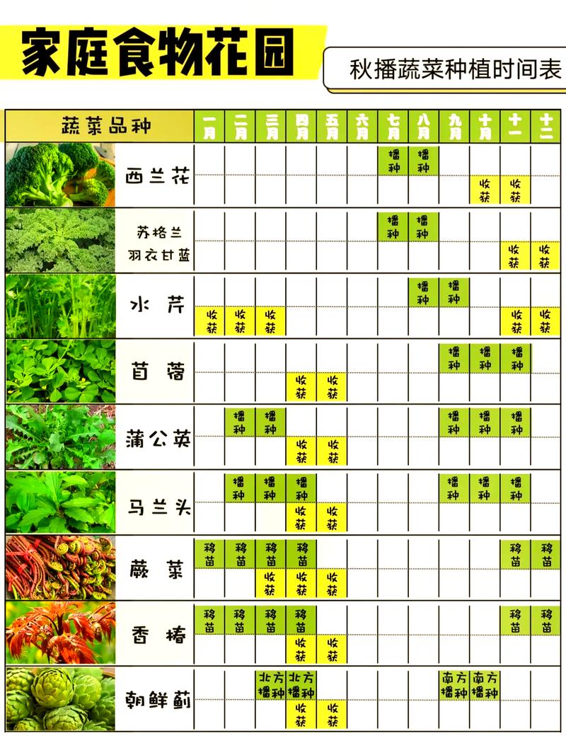今日头条极速版种菜产量有什么用截图