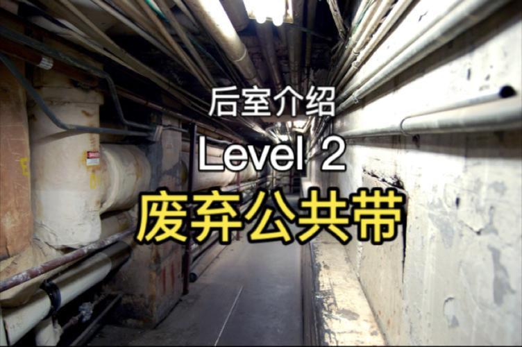 level2什么意思