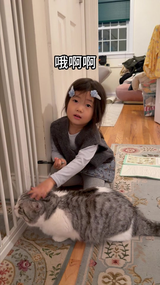 猫嫌弃人类幼崽