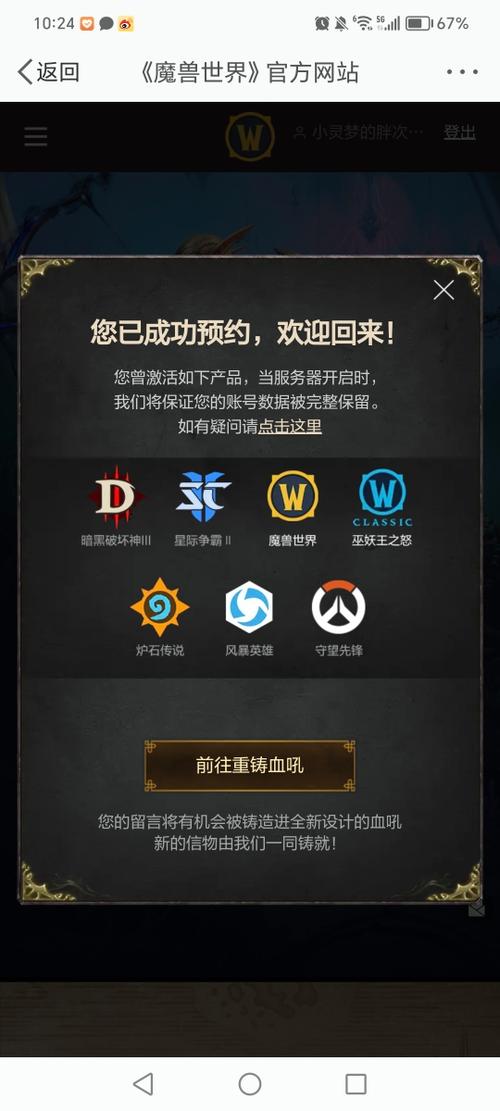 暴雪国内代理