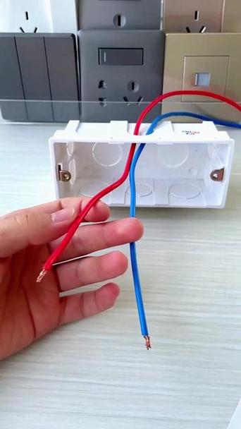 一个插座两根火线两根零线缩略图