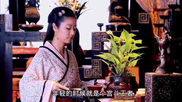 女主是宠妃的宫斗文图标