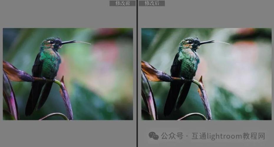 免费预设