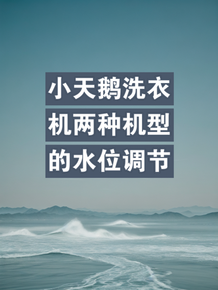 小天鹅波轮水位在哪调