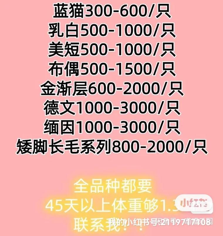 猫回收店价格表缩略图