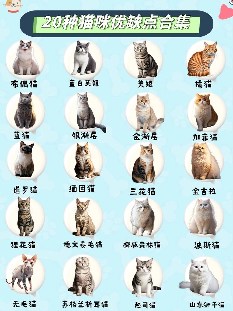 猫和老鼠图片伤感 猫哭缩略图
