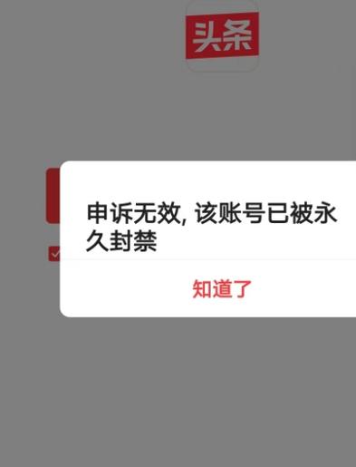 CTF加载程序可以禁止启动吗