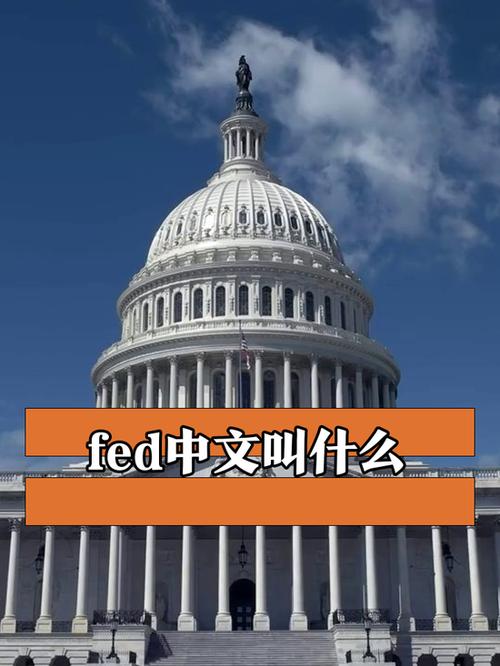 Fed的中文是什么