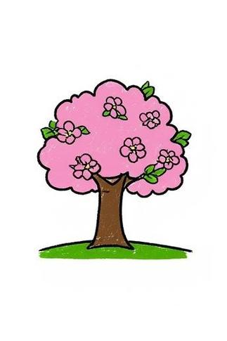 樱花树素材app官方网站入口图标