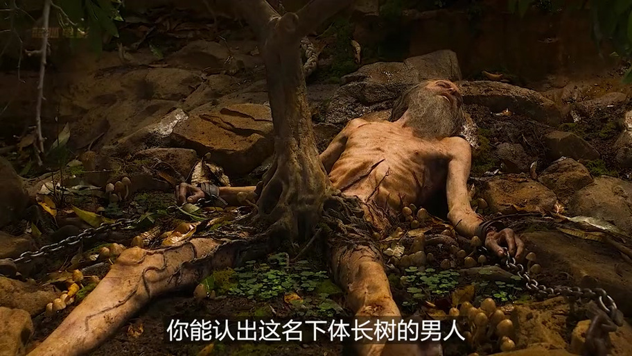 文明6无政府状态卡住了