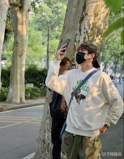 网易mc更新樱花林了吗缩略图