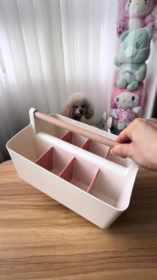 无主之地3怎么把宠物收起来