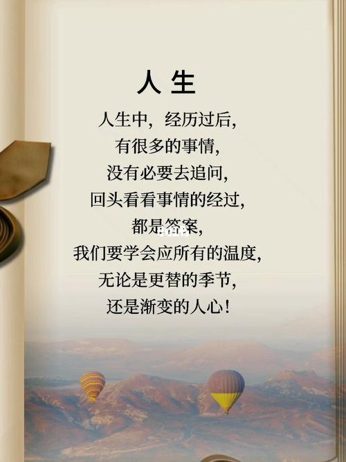 孙俪《蛮好人生》36集图标